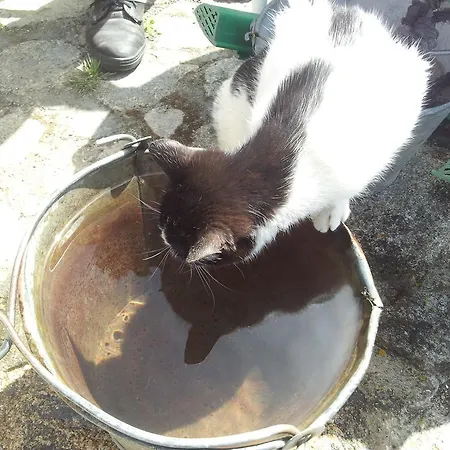 Pensjonat El Abuelo 3*