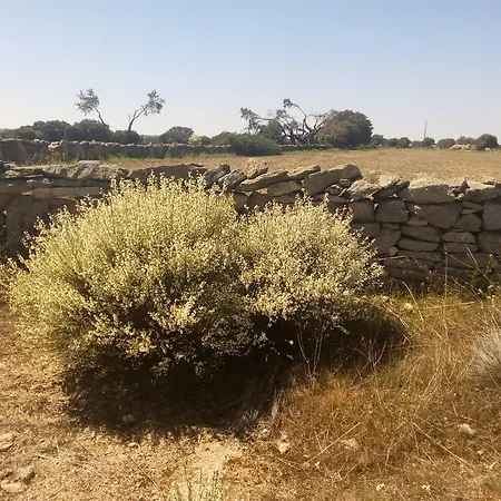 El Abuelo 3* Carbellino