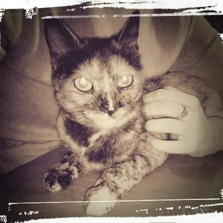 El Abuelo Pensjonat 3*