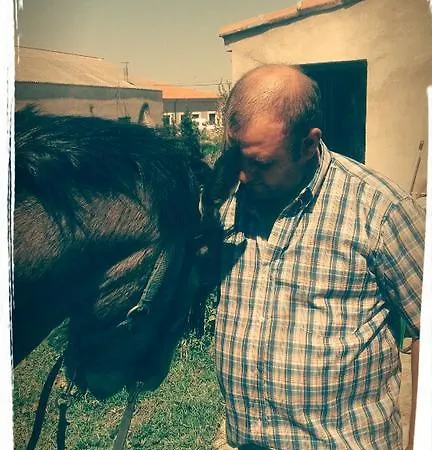 El Abuelo 3*