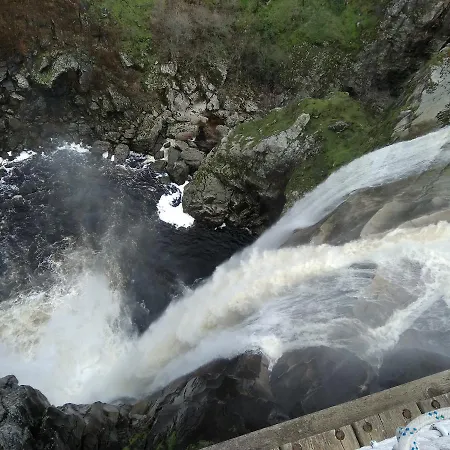 El Abuelo Carbellino