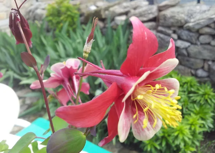 艾尔阿布罗旅馆