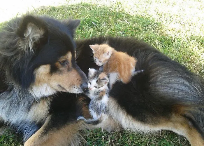 招待所 艾尔阿布罗旅馆