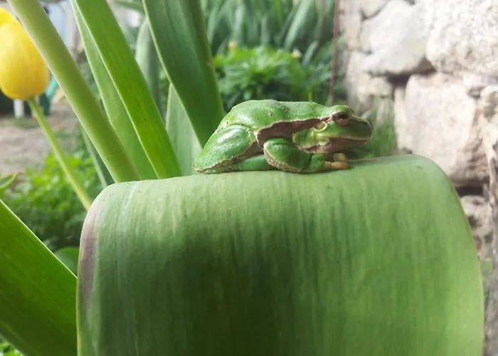 艾尔阿布罗旅馆