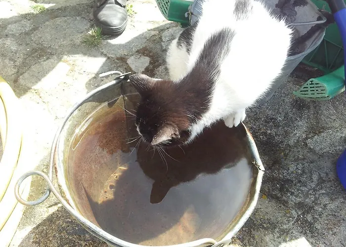 招待所 艾尔阿布罗旅馆 3*