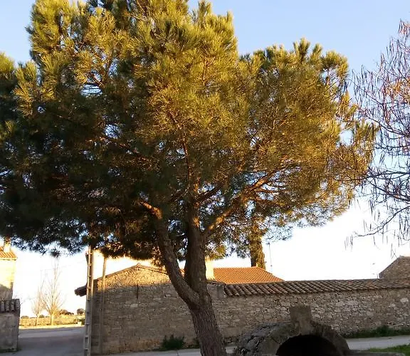 招待所 艾尔阿布罗旅馆