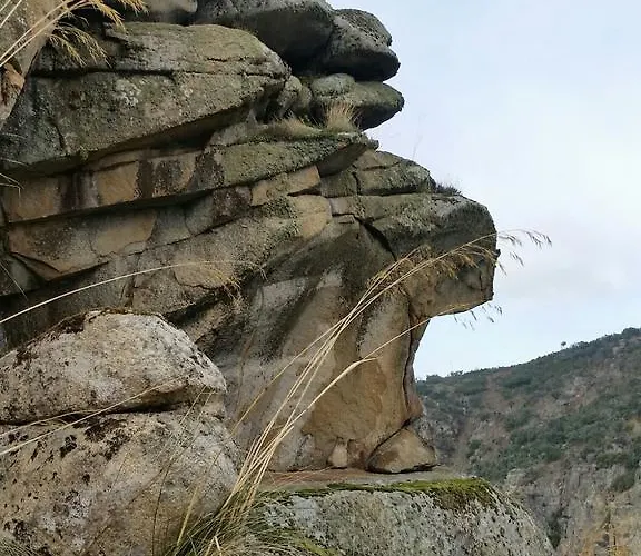 艾尔阿布罗旅馆 招待所