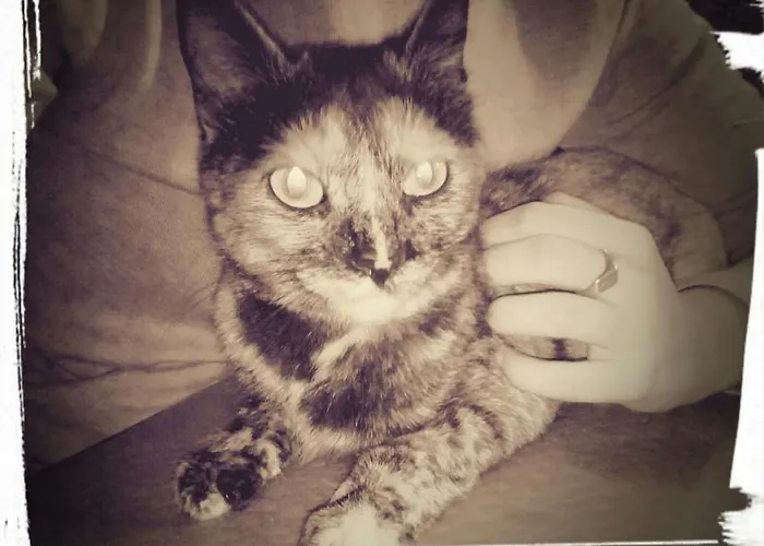 艾尔阿布罗旅馆 招待所 3*