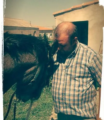 艾尔阿布罗旅馆 3*