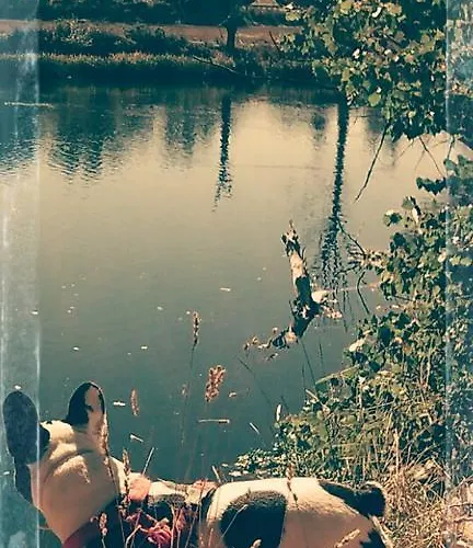 艾尔阿布罗旅馆 3* Carbellino