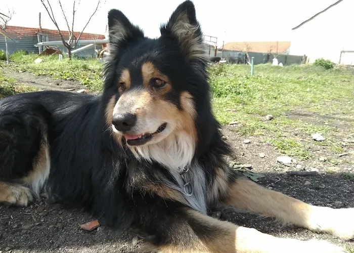 招待所 艾尔阿布罗旅馆 3*