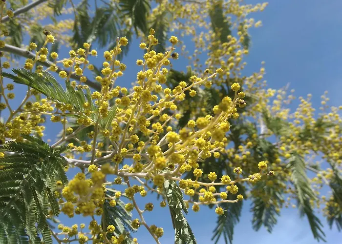 艾尔阿布罗旅馆 招待所 3*