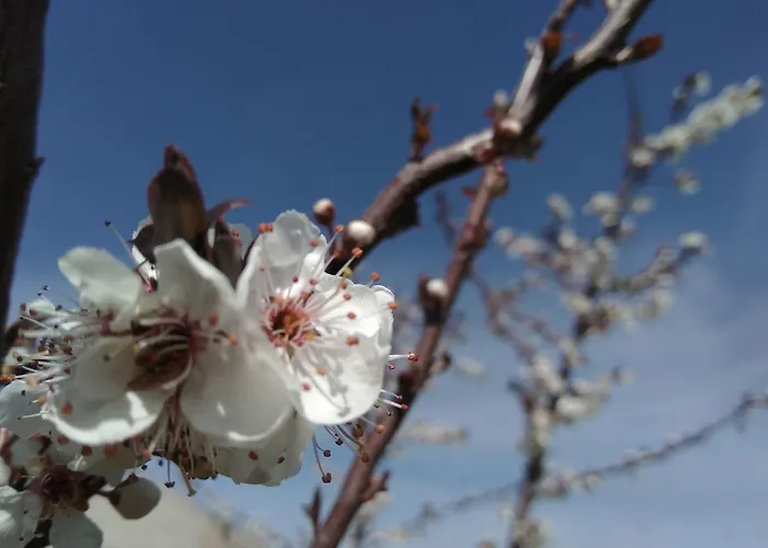 招待所 艾尔阿布罗旅馆